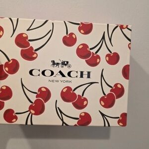 Coach Heart-Shaped Cherry Print Coin Bag